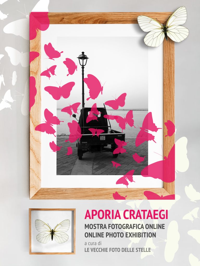 Read more about the article Aporia Crataegi – Online Photo Exhibition